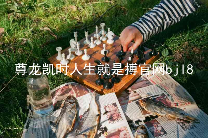 尊龙凯时人生就是搏官网bjl8