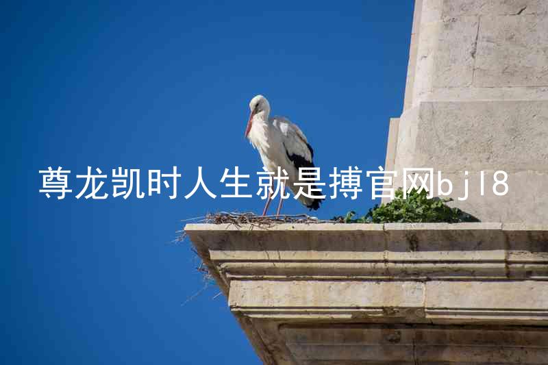 尊龙凯时人生就是搏官网bjl8