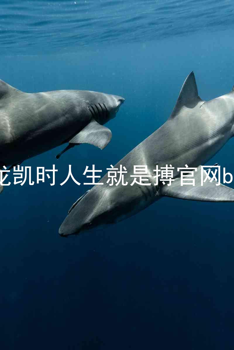 尊龙凯时人生就是搏官网bjl8